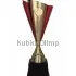 Сделать гравировку на кубке R4204A в интернет-магазине kubki-olimp.ru и cup-olimp.ru Фото 0